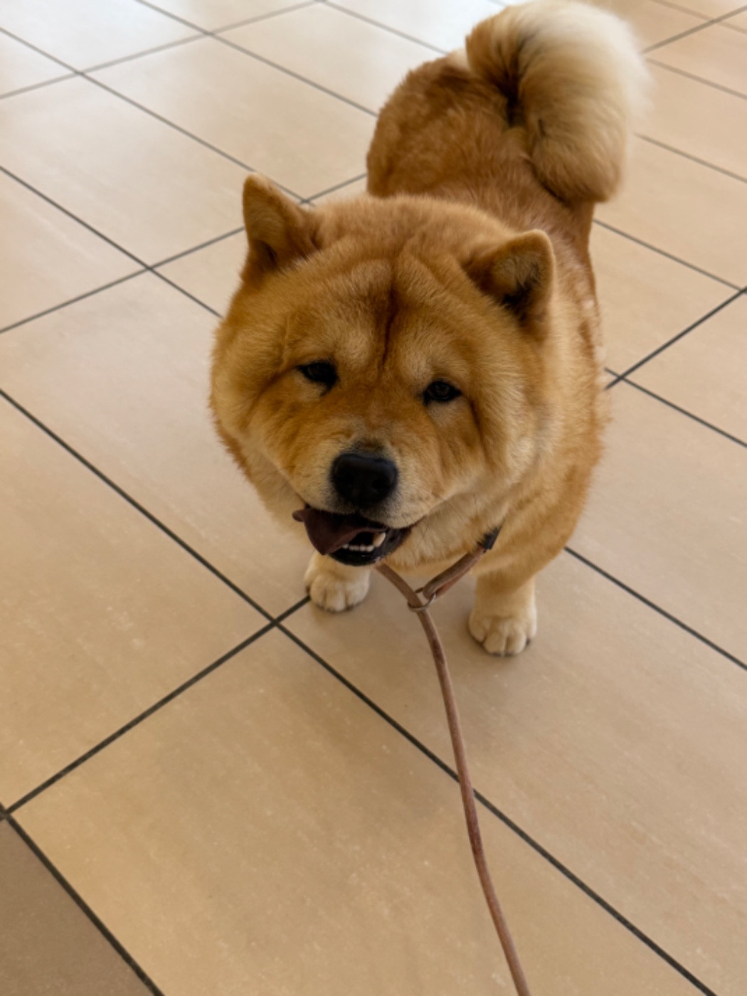 Famous Dream  UBBY ONE